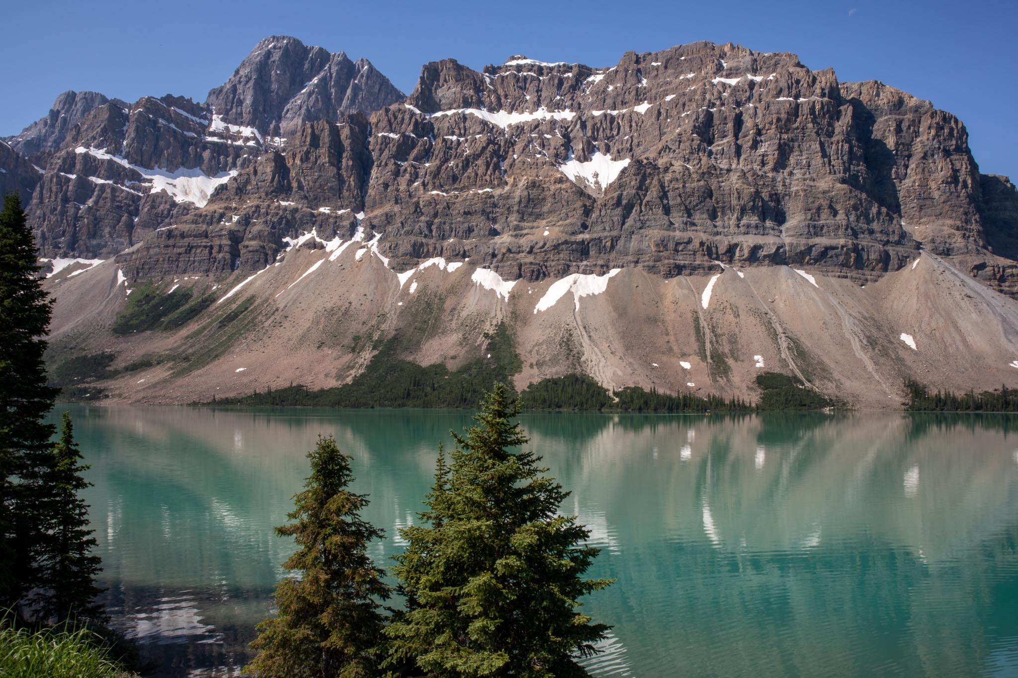 alberta