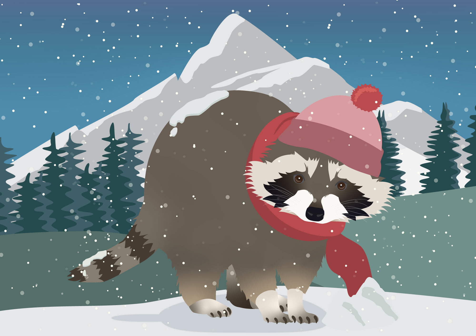 Racoon Illustration